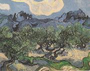 Vincent Van Gogh, Olive Trees with the Alpilles in the Background (nn04)